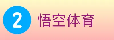 悟空体育 logo
